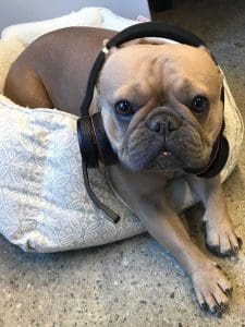 Kona